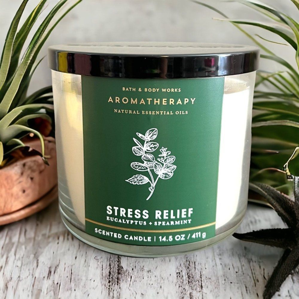 Bath & Body Works Aromatherapy Eucalyptus + Spearmint Candle